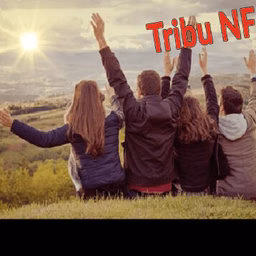 Tribu Nf