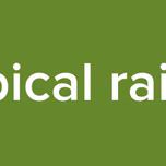 fabical raido