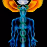 Alchemical Circulation of the Light