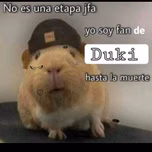 Flow Riki