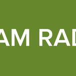 PRAM RADIO