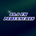 89.9 FM PEHUENCHES