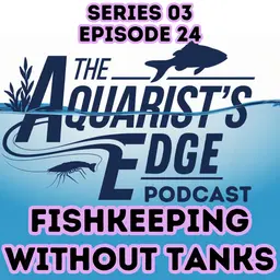 No Aquariums Allowed? How to Be a Fishkeeper Without Owning a Tank