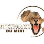RADIO ETENDARD DU MIDI