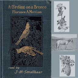 A-Birding on a Bronco by Florence A. Merriam Bailey (1863 - 1948)