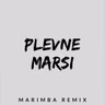 Sonnerie Gratuite Plevne Marsi (Marimba Remix)