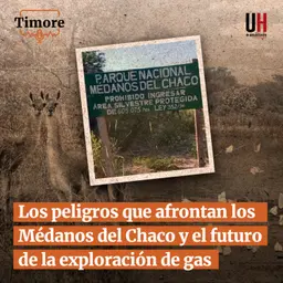 Los peligros que afrontan los Médanos del Chaco y el futuro de la exploración de gas