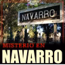 MISTERIO EN LA CIUDAD DE NAVARRO