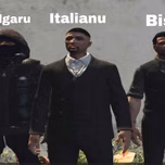 Garda Veche