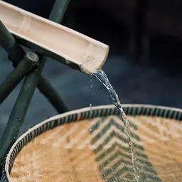 梁实秋:钱无雅俗可辨