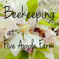 Beekeeping at FiveApple