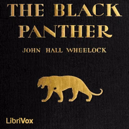 Black Panther, The by John Hall Wheelock (1886 - 1978)