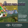 Construir paz es producir territorio: Acciones de paz y reconfiguraciones territoriales en los municipios de Argelia y Nariño (1998-2020)