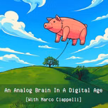 An Analog Brain In A Digital Age | With Marco Ciappelli