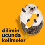 Dilimin Ucunda Kelimeler