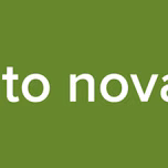 teto novas