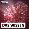 Herpesviren – Akute Infektionen und ihre möglichen Spätfolgen