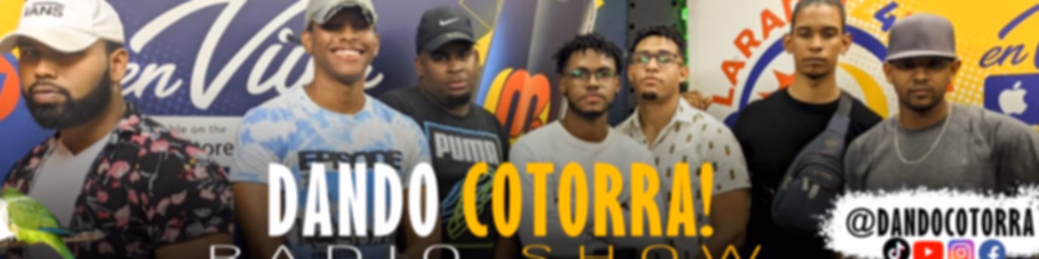 Dandocotorra