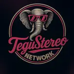 TeguStereo