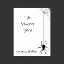 schwarze Spinne