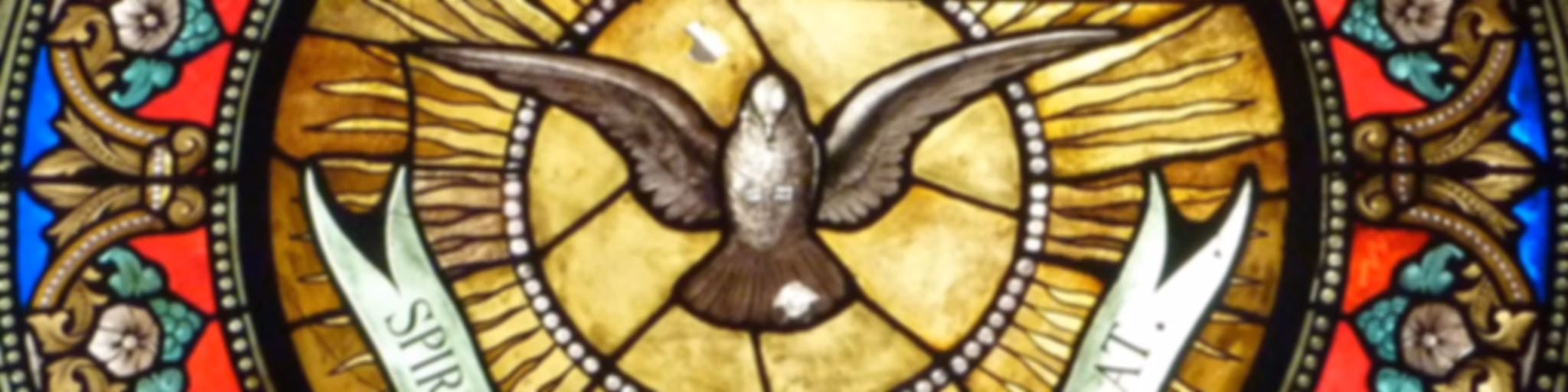 Gaudium Cum Pace