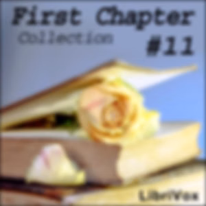 First Chapter Collection 011 by Various