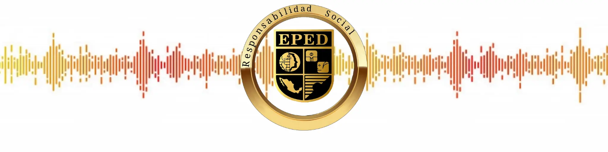 Licenciatura 12