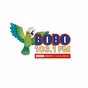 Bobo 103.1 FM