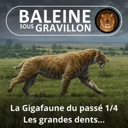 BEST OF D'ÉTÉ #25 La Gigafaune du passé 1/4 : Les grandes dents (Pierre-Olivier Antoine)