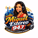 MIGUELSTEREONLINE