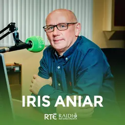 Iris Aniar