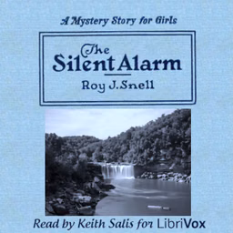 Silent Alarm