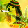 Anything Goes - 420 / DOGE Edtion!