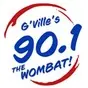 The Wombat - WMBT-LP