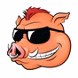 92.3 The Hog - WHHG