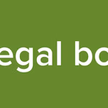 Legal boy