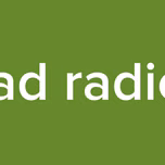fidelidad radio pinto