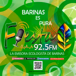 Fiesta 92 5 Fm