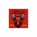 Metalica Bulls Romania