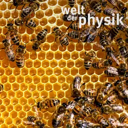 Folge 384 – Komplexität und Chaos