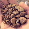 إياكم وقطيعة الإخوة والأخوات