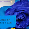 Sana Tu Tristeza