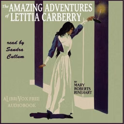 Amazing Adventures of Letitia Carberry, The by Mary Roberts Rinehart (1876 - 1958)
