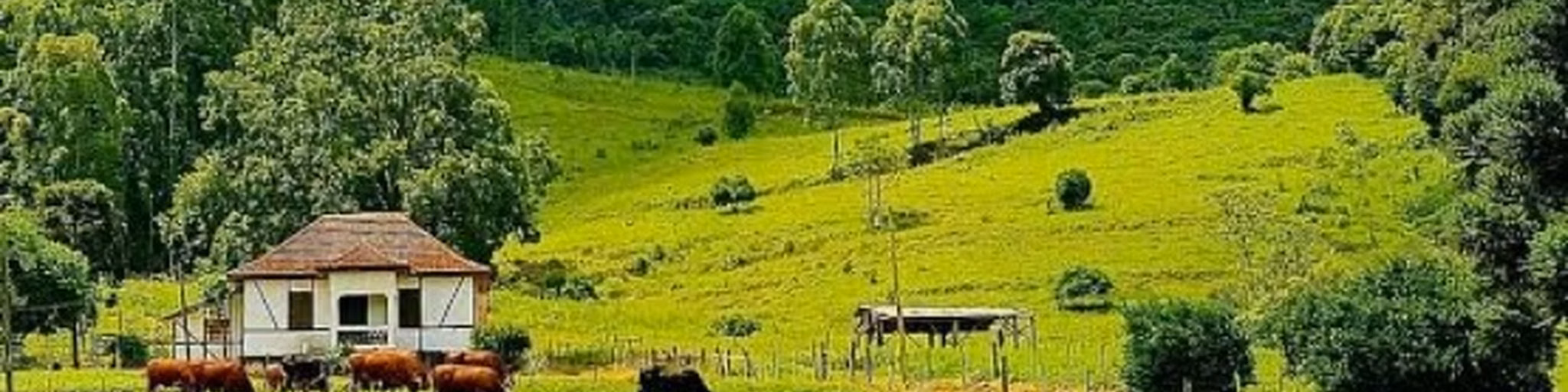 Radio Brasil Caboclo