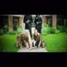 SOFI TUKKER - F*ck They (Official Video) [Ultra Music]