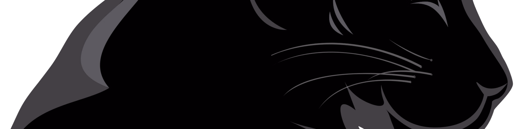 PANTHERA RADIO