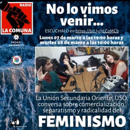 ESPECIAL 8M de la USO