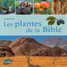 LA VIGNE DANS LA BIBLE