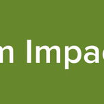 Kingdom Impact Radio