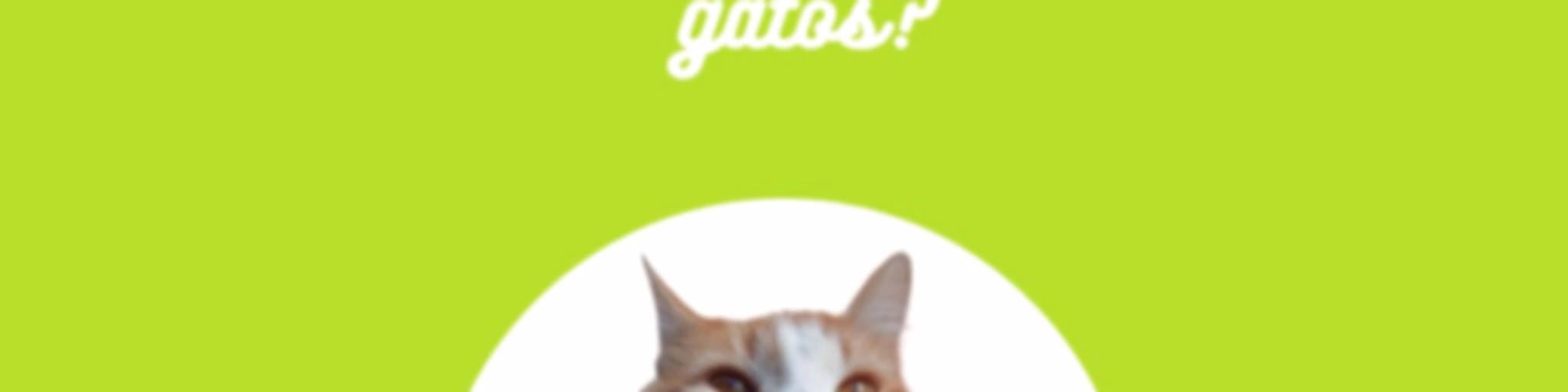 ¿Qué es un resumen de gatos?